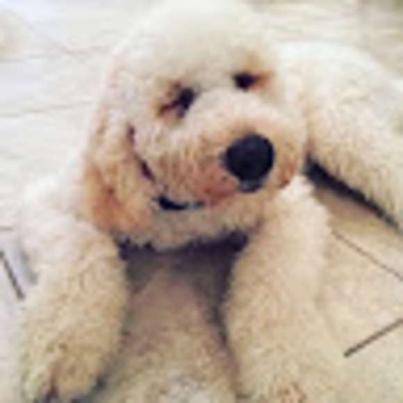 Meet your Posher, Tammy - Picture 1 of 1